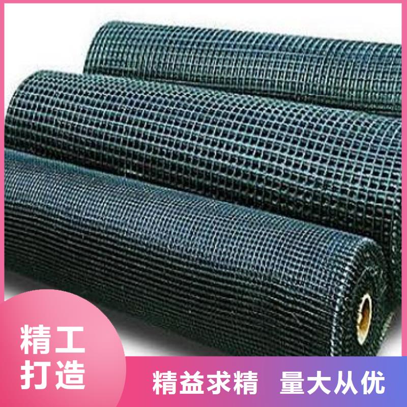 玻纤土工格栅现货发售