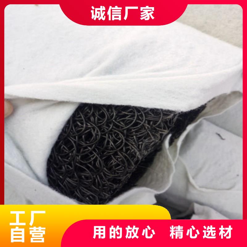 【塑料盲沟】-复合土工膜源头厂家