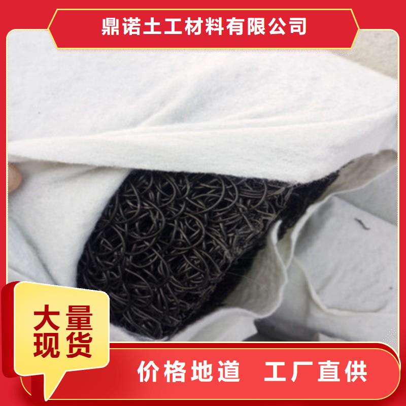 塑料盲沟三维复合排水网批发货源