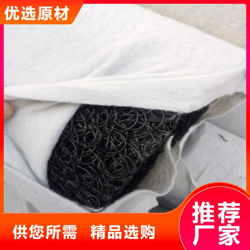 塑料盲沟三维复合排水网种类多质量好