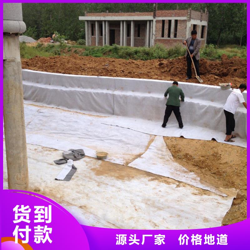 【膨润土防水毯】涤纶土工格栅正规厂家