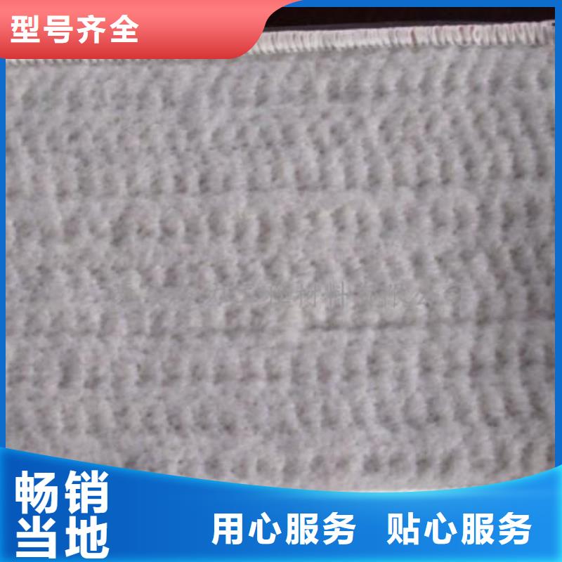 【膨润土防水毯三维植被网优良材质】