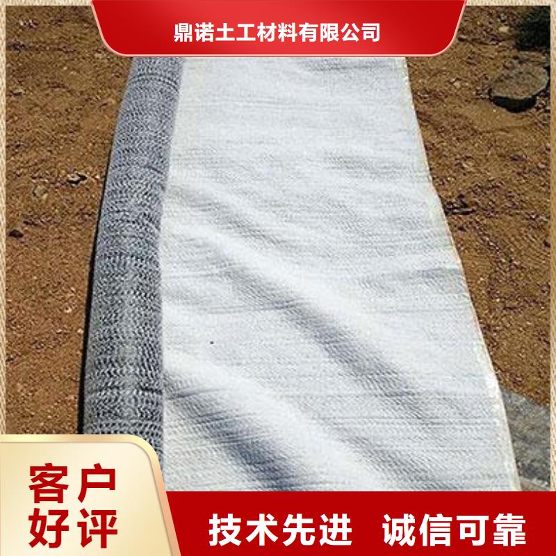 膨润土防水毯单向拉伸塑料格栅好品质选我们