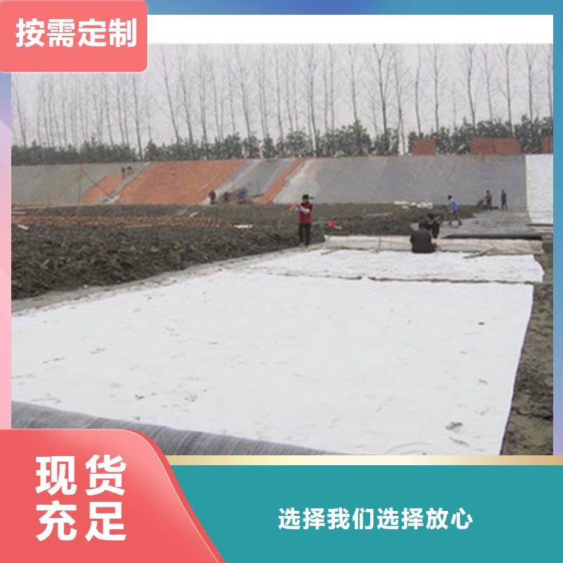 【膨润土防水毯三维植被网优良材质】