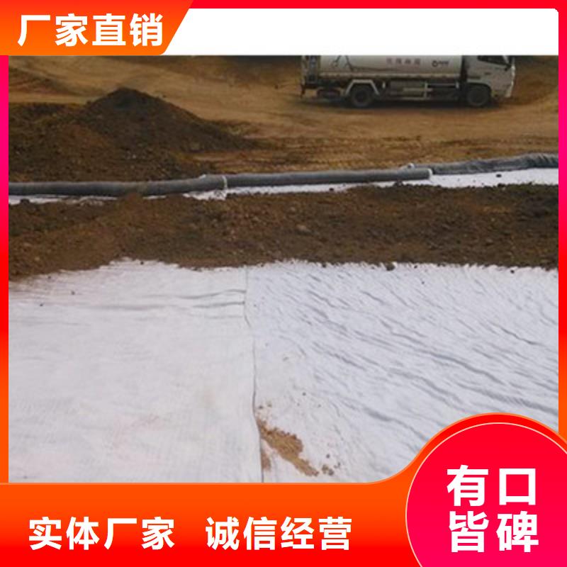 膨润土防水毯复合土工膜价格实惠
