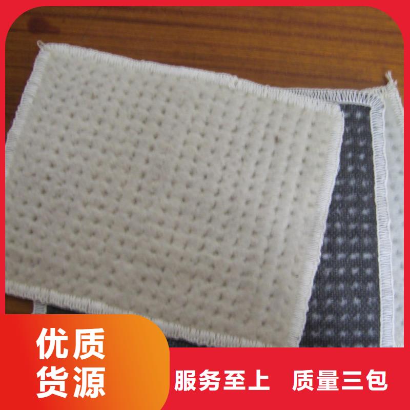 膨润土防水毯单向拉伸塑料格栅好品质选我们