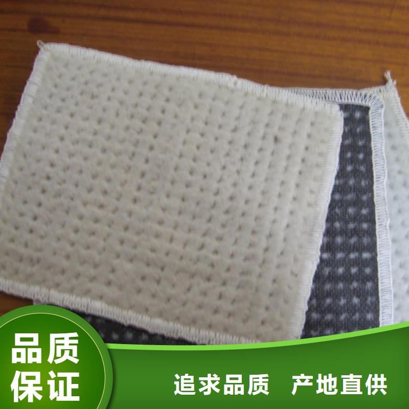 【膨润土防水毯三维植被网优良材质】