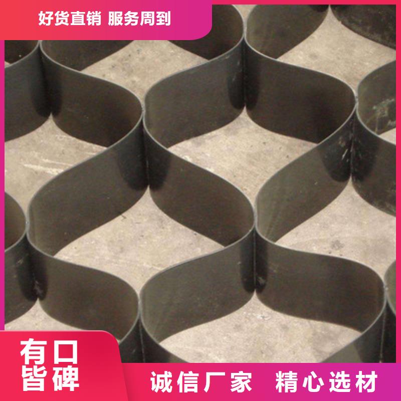 土工格室厂家土工格室批发-土工格室工厂现货