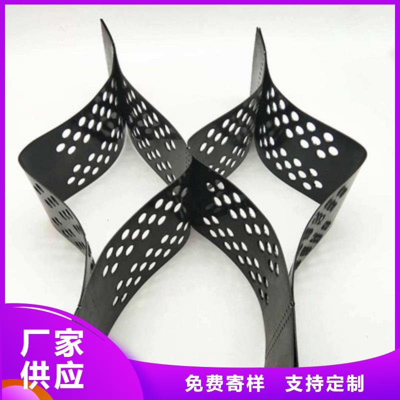 土工格室凸结点钢塑土工格栅高性价比