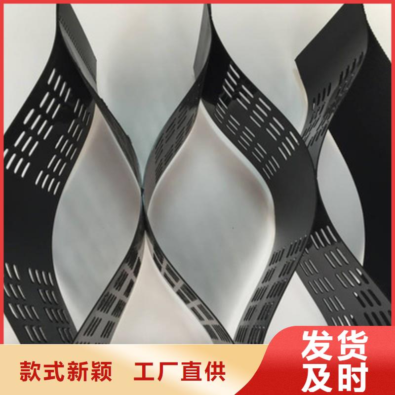 土工格室钢塑土工格栅工厂直供