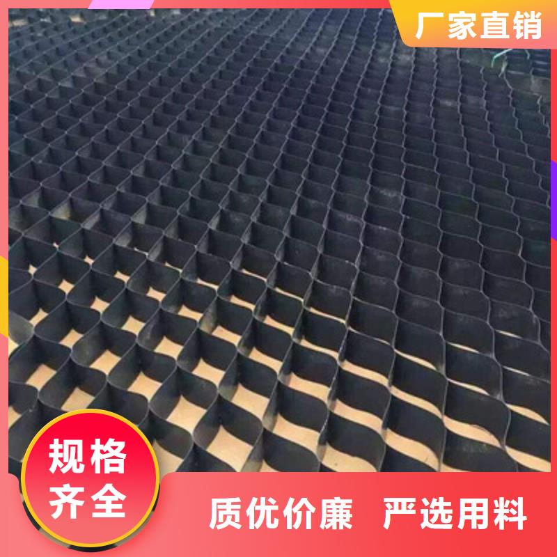 蜂窝土工格室hdpe土工格室厂家