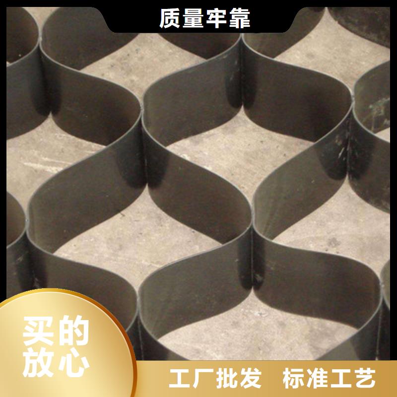 土工格室厂家土工格室批发-土工格室工厂现货
