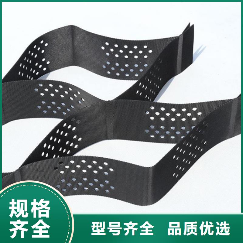 土工格室厂家土工格室批发-土工格室工厂现货
