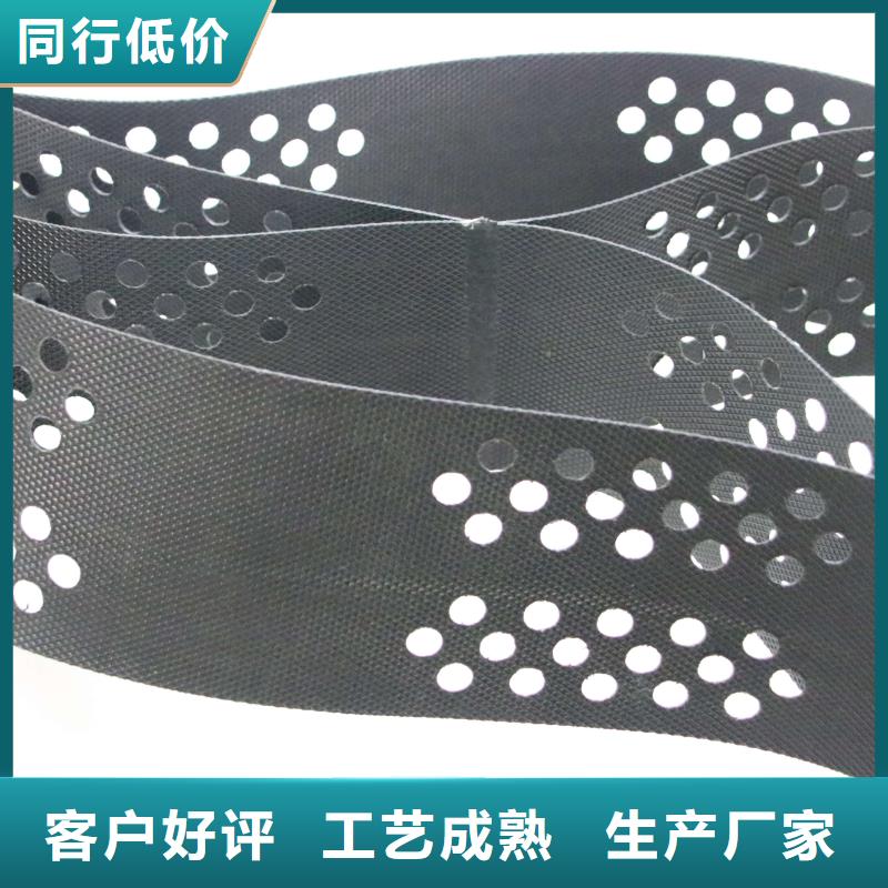 土工格室厂家土工格室批发-土工格室工厂现货