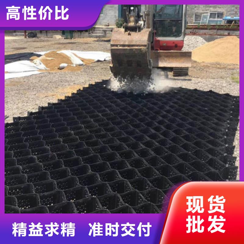 土工格室厂家土工格室批发-土工格室工厂现货
