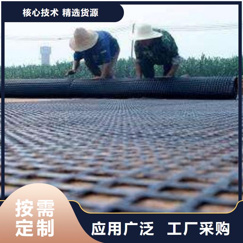 涤纶土工格栅实力厂家