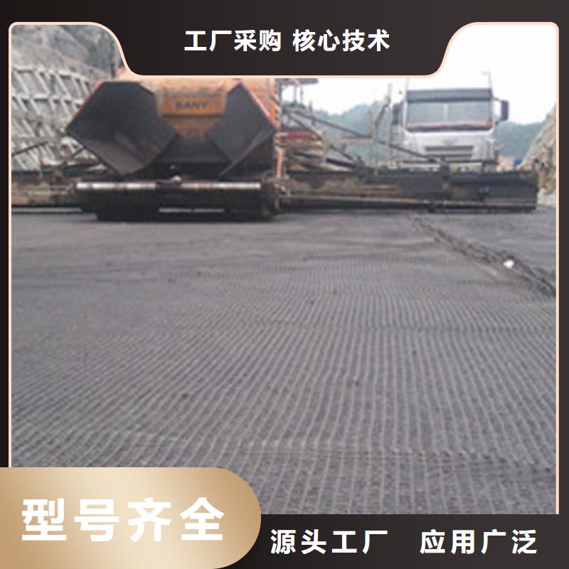 厂家直销涤纶土工格栅