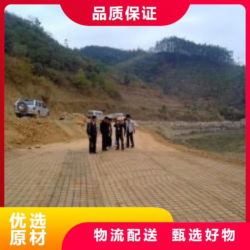钢塑土工格栅-钢塑土工格栅厂家高质量高信誉