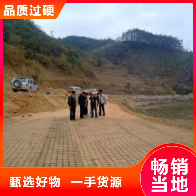 钢塑土工格栅三维水土保护毯价格地道