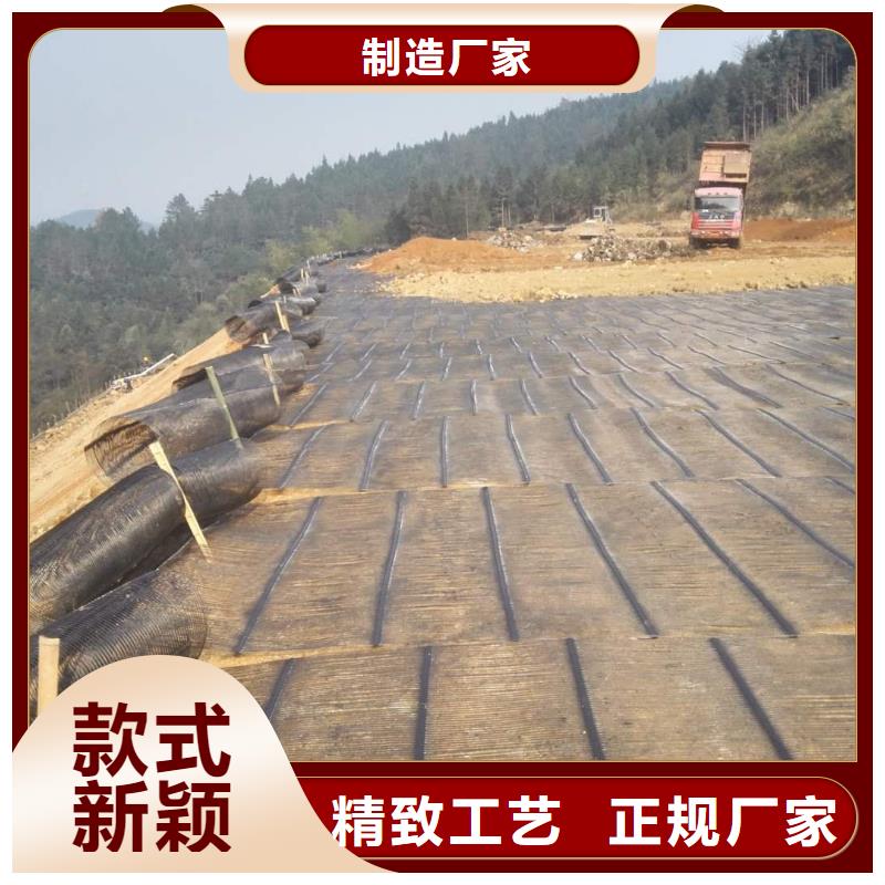 钢塑复合土工格栅供应商