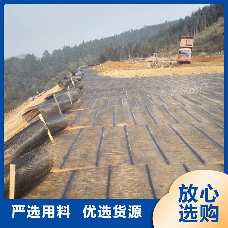 钢塑土工格栅,涤纶土工格栅一站式采购方便省心