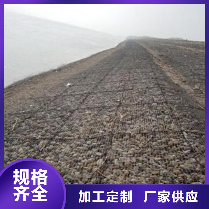 【钢塑土工格栅】土工布价格工厂直供