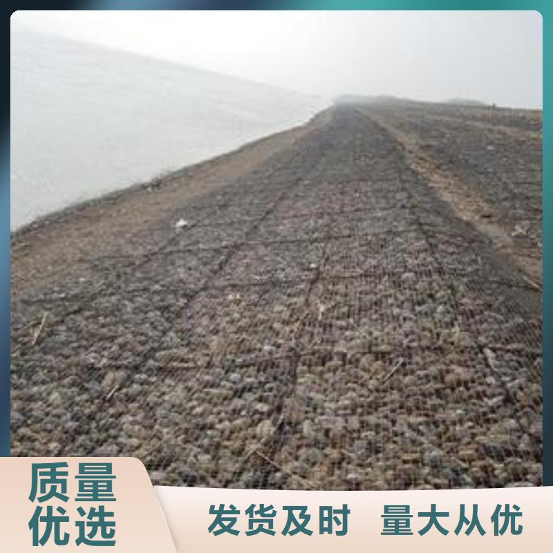钢塑土工格栅土工布型号齐全