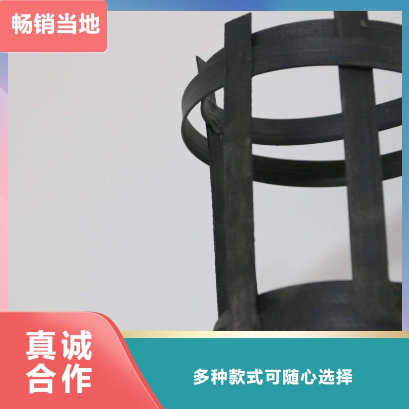 厂家直销涤纶土工格栅