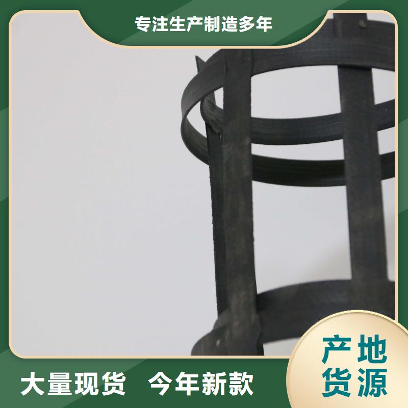 厂家直销涤纶土工格栅