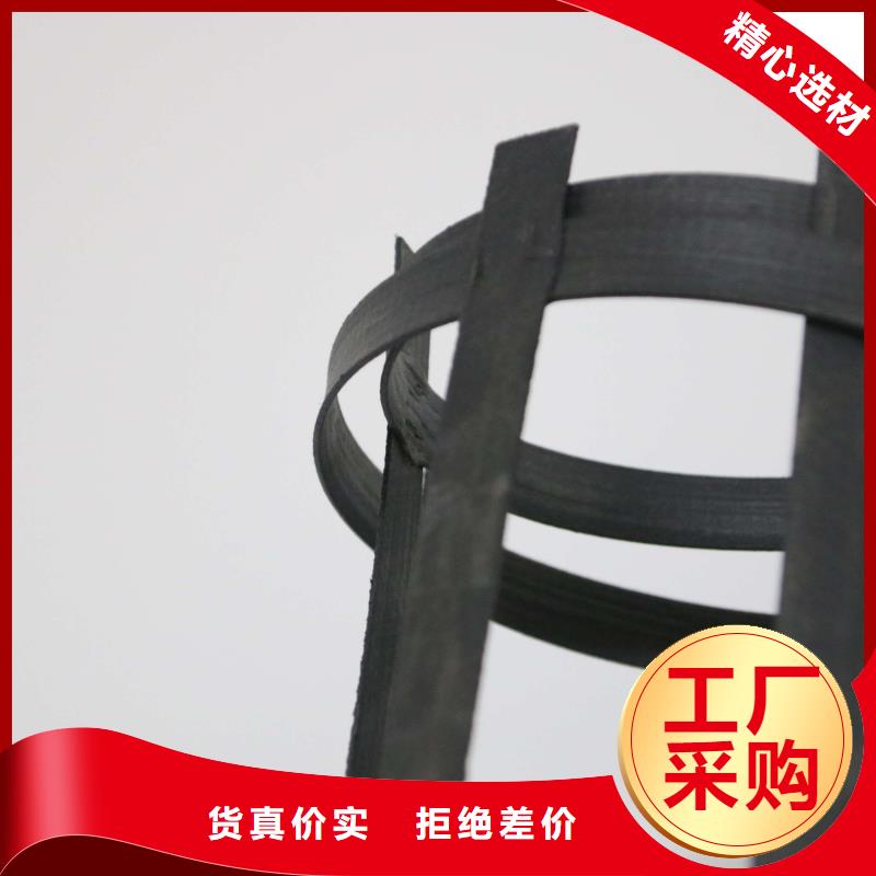 厂家直销涤纶土工格栅