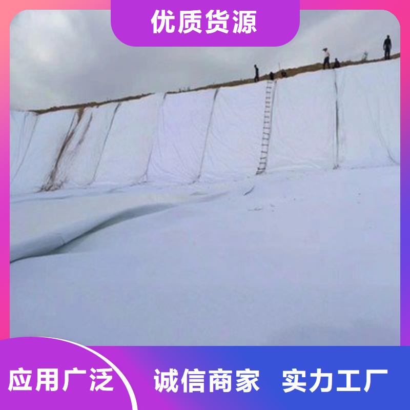 土工布三维土工网垫货源直供