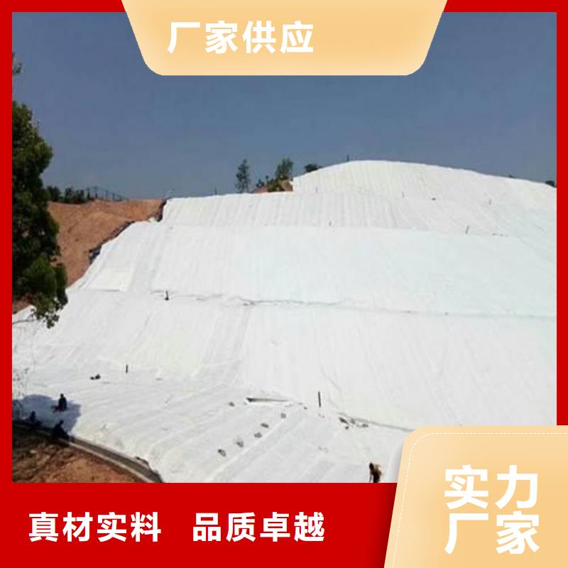 长丝土工布价格