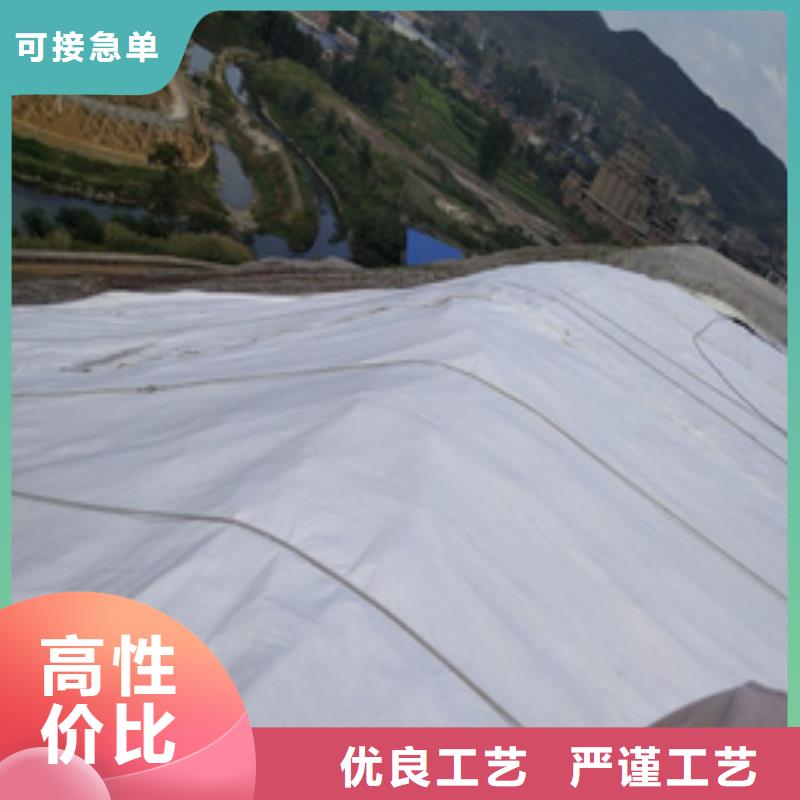 土工膜-土工布-复合土工膜-长丝土工布