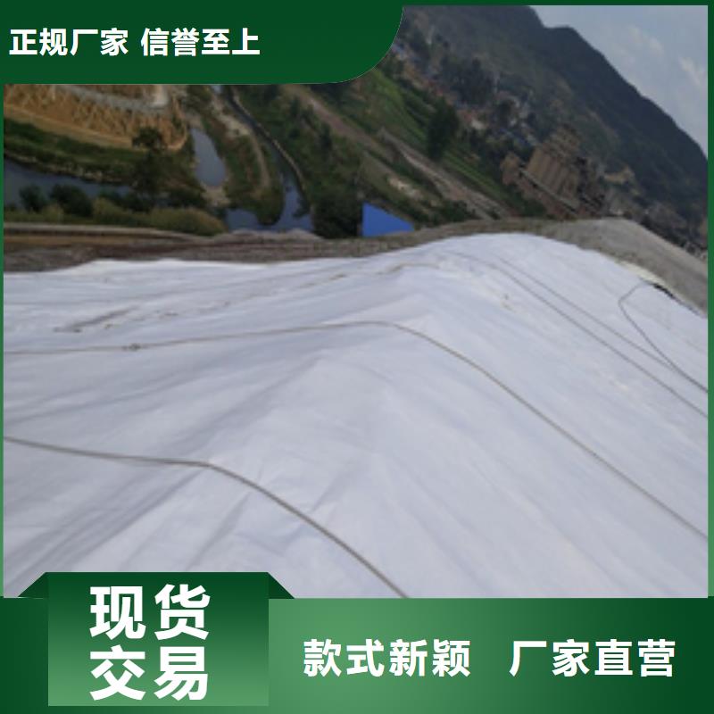 公路用土工布生产厂家