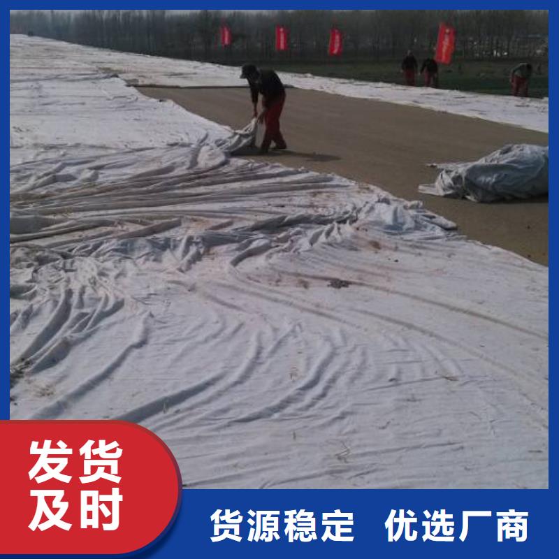 工程土工布.专业土工布厂家