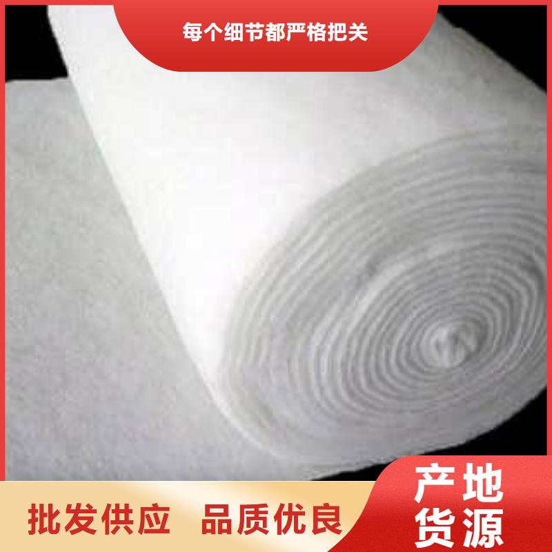 工程土工布.专业土工布厂家