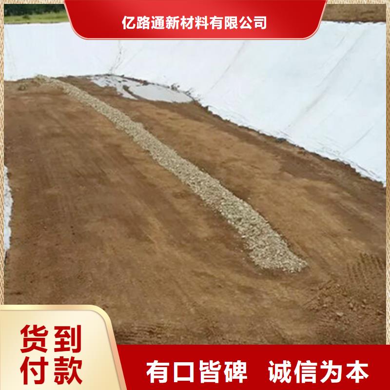 国标土工布200克、300克、400克,多少钱一卷