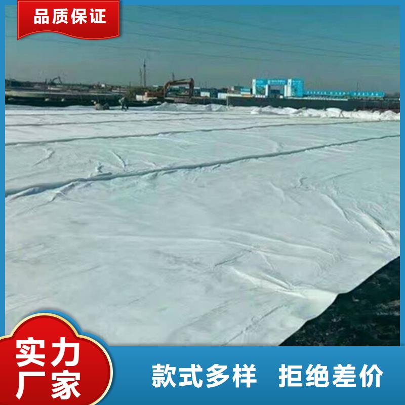 土工布--汇彩无纺生产厂家--价格低品质高