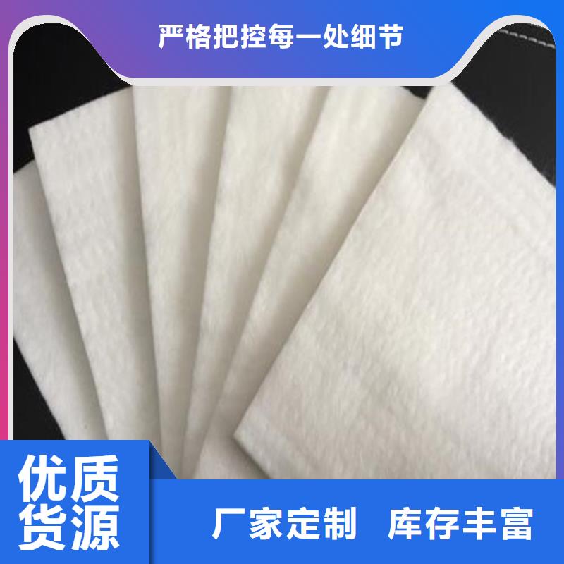 土工布涤纶土工格栅欢迎来电询价
