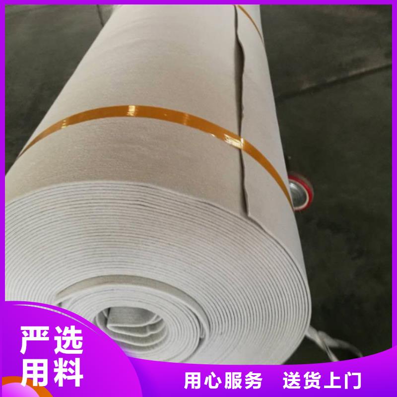700g聚丙烯无纺土工布直销批发