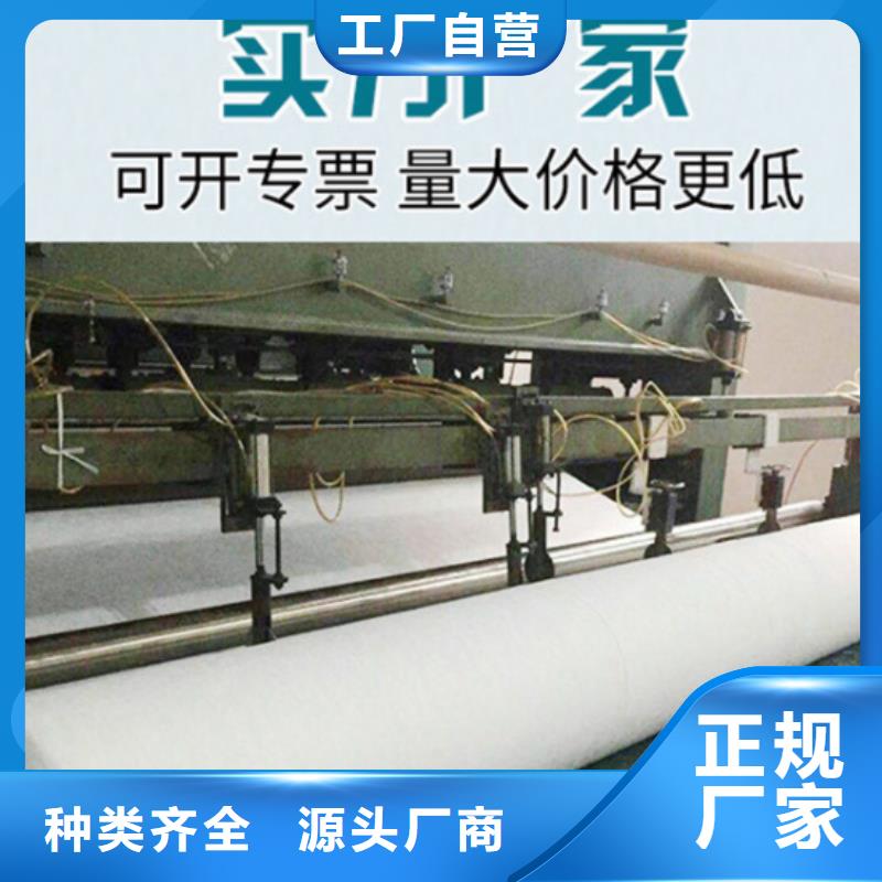 700g聚丙烯无纺土工布直销批发