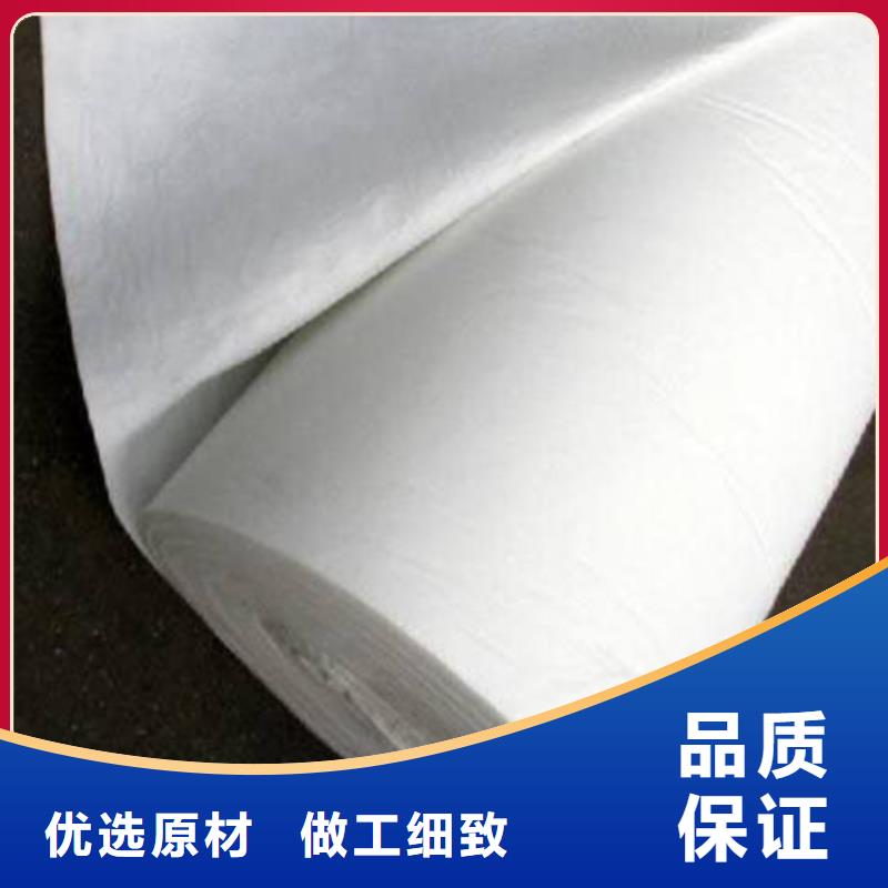 土工布涤纶土工格栅欢迎来电询价