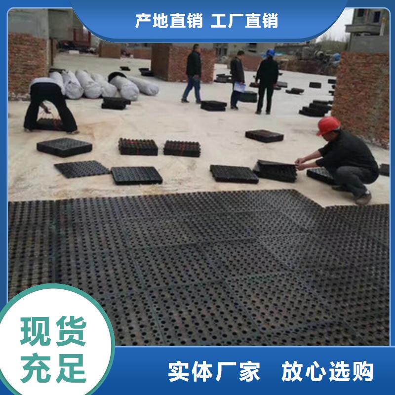 塑料排水板-土工格室价格有优势