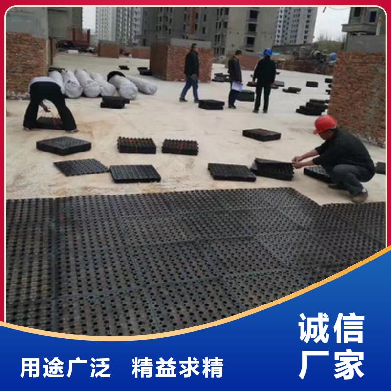 塑料排水板玻璃纤维土工格栅打造好品质