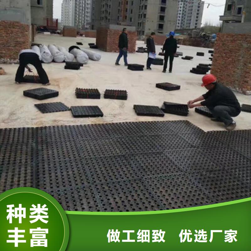 塑料排水板凸结点钢塑土工格栅精工制作