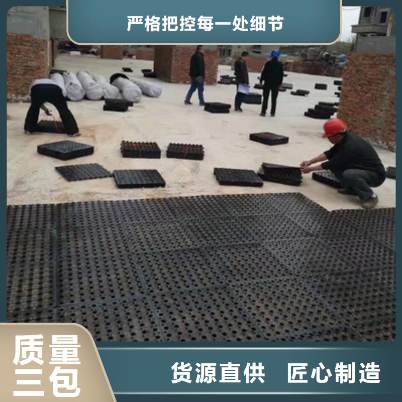 【塑料排水板】聚丙烯双拉土工格栅质检合格出厂