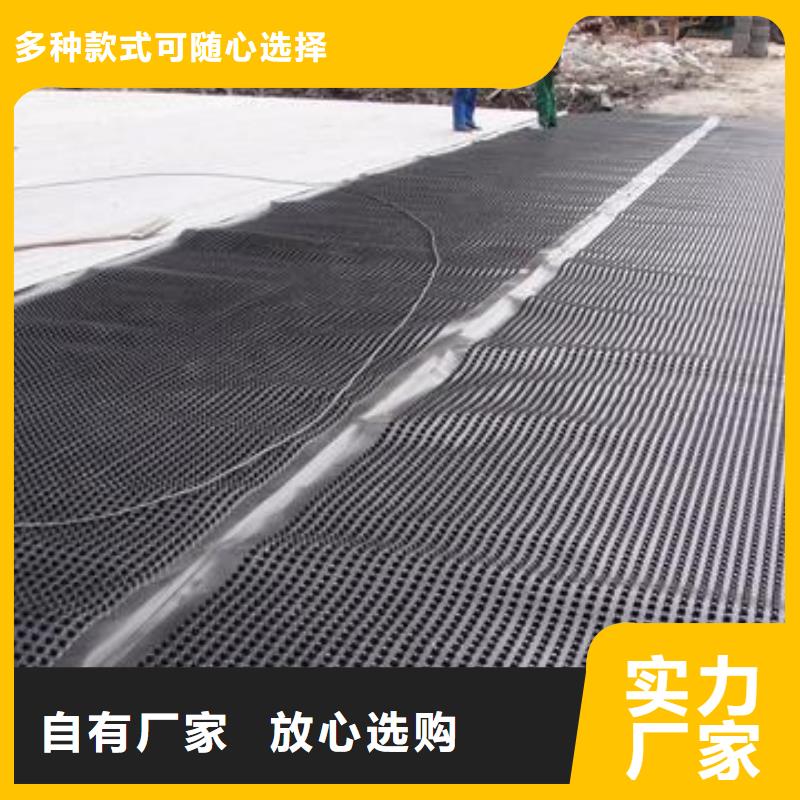 【塑料排水板三维植被网厂家专注生产N年】