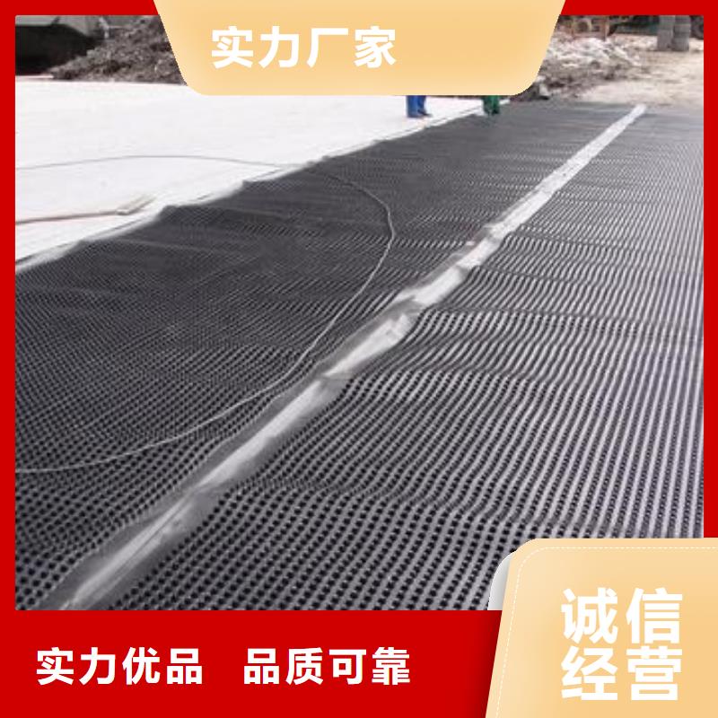 塑料排水板塑料盲沟卓越品质保障