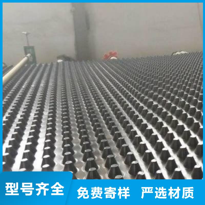 塑料排水板钢塑土工格栅品质信得过