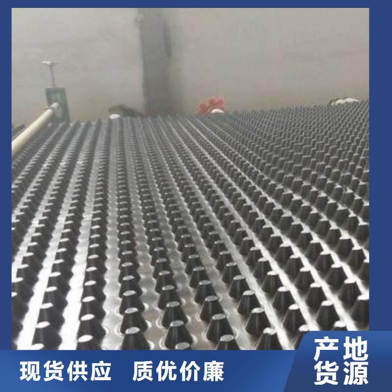 塑料排水板钢塑土工格栅厂家专业按需定制